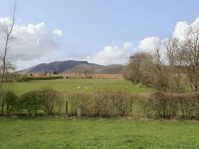 a field with sheep grazing in a field with mountains at Glen Cottage in Penrith