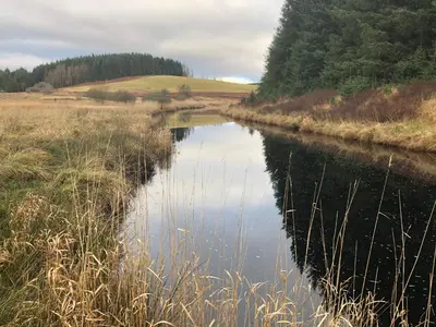 a river in the middle of a field at Maberry Cottage in Bargrennan