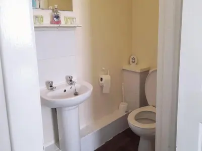 a bathroom with a sink and a toilet at Irvine Riverside Guesthouse in Irvine