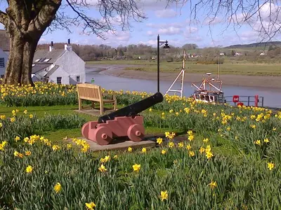 a cannon and a bench in a field of flowers at 26 Castle Street in Kirkcudbright