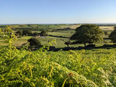a field of grass with trees in the distance at Wayside Cottage 1637 in Millom