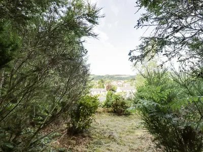 a view through the trees of a garden at Wood End in Dalbeattie