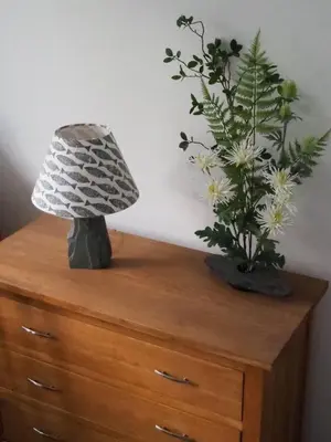 a lamp on top of a dresser with two plants at Causey View in Braithwaite
