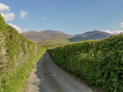 a dirt road in a field with mountains in the background at Swaledale Watch Garden Annexe in Wigton