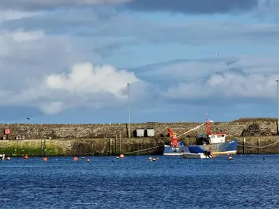 a boat is docked in a body of water at Harbourside in Garlieston