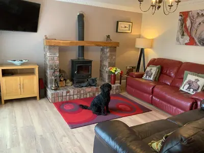 a dog sitting on a rug in a living room with a fireplace at Parkside Mews in Frizington