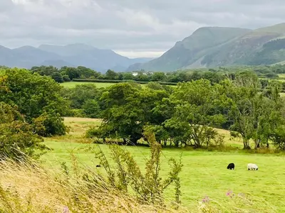 two animals grazing in a field with mountains in the background at Parkside Mews in Frizington