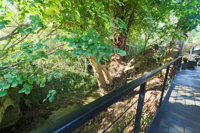 a fence next to a tree next to a walkway at The Hide in Carlisle