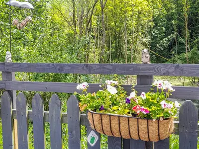 a basket of flowers hanging on a fence at Graylings Rest - Uk35759 in Brigham