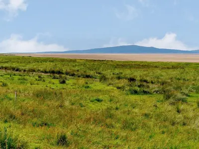a field of grass with a mountain in the background at The Barnacle Goose - Uk35261 in Bowness-on-Solway