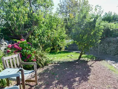 a bench in a garden with a tree and flowers at Oor Wee Hoose in Whithorn