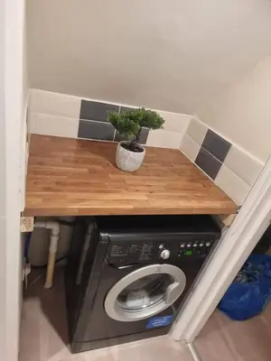 a plant sitting on top of a washing machine at Carlisle City Centre, Cute Victorian House. in Carlisle