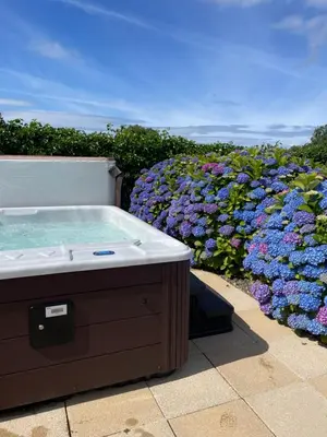 a hot tub in front of a field of flowers at Galloway Farmstay Claunch in Newton Stewart