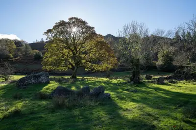 a field with trees and rocks in the grass at Grasmere Cottage with Stunnng Views by LetMeStay in Ambleside