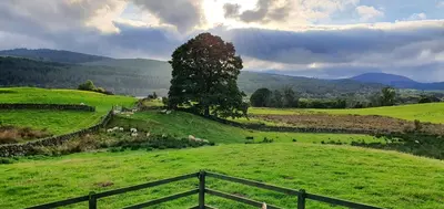 a field with a tree on a hill with a fence at Fauld O Wheat Shepherds Hut , Loch Ken ,Off Grid in Castle Douglas