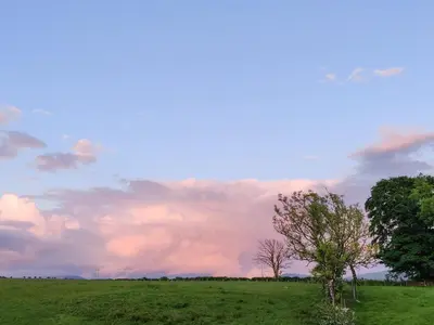 two trees in a field under a cloudy sky at Catbells in Arlecdon