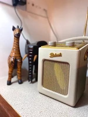 a microwave sitting on a table next to a cat figurine at Wee Silverburn in Whiting Bay