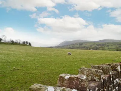 a field of green grass with a rock wall at Scalelands Cottage in Frizington
