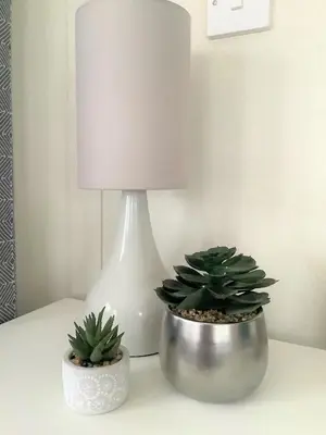 two potted plants sitting on a table next to a lamp at Cumbria Reach in Longtown