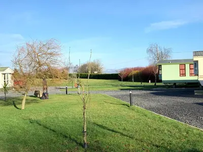 a small tree in the grass next to a road at Holiday Caravan - Sleeps 4 with Parking in Whithorn