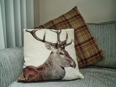 a cushion with a picture of a deer on a couch at Bayfield in Lamplugh
