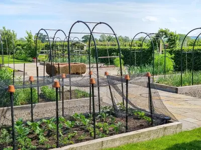 a garden with a bunch of plants at Beacon Cottage in Ivegill