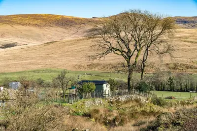 a tree in the middle of a field with a hill at Scalderskew Shepherds Hut in Gosforth