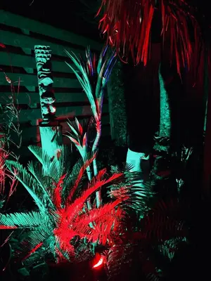 a plant with red lights in a dark room at Ayrshire Airstream in Galston