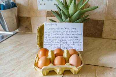 a basket of eggs on a counter with a note at The Cheeseloft - Spacious one bed with terrace in Kirkcudbright