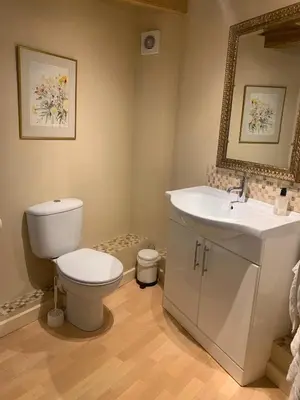 a bathroom with a toilet and a sink at Fiddleback Farm in Wigton