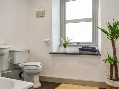 a bathroom with a toilet and a window at Pollywiggle Cottage in Keswick