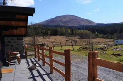 a cat sitting on a patio with a fence at 1 Bed Cabin in the Magical Galloway Forest Park in Newton Stewart