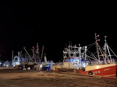 a group of boats parked in a dock at night at 9A Church Place in Kirkcudbright