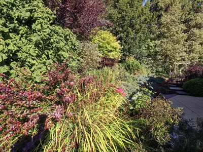 a garden with many different types of plants and flowers at Edencroft in Penrith