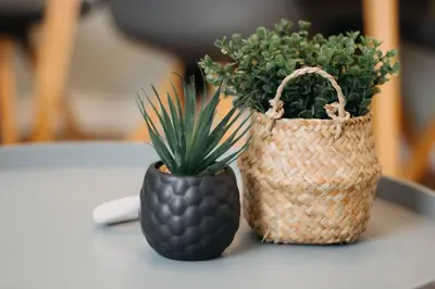 two baskets with plants in them sitting on a table at The Bailey - Troon - Coorie Doon Stays in Troon