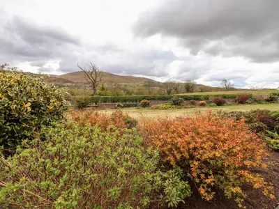 a field with bushes and trees on a cloudy day at Dale View in Cockermouth