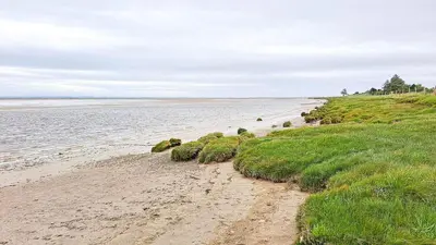 a sandy beach with green grass and water at Gretna Getaway in Gretna