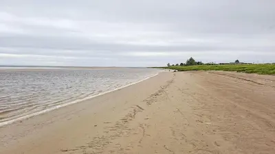 a sandy beach with footprints in the water at Gretna Getaway in Gretna