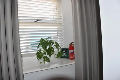 a plant sitting on a window sill in front of a window at Milo's place is a home from home in Egremont