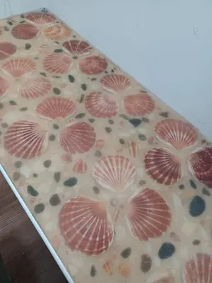 a box filled with shells on top of a table at Voyage Hostel - Rooms with Shared Kitchen in Douglas