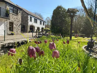 a garden with purple flowers in front of a building at Forge Mill Cottage in Dalbeattie