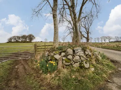 a rock garden next to a fence on a road at Shaw Cottage in Dumfries
