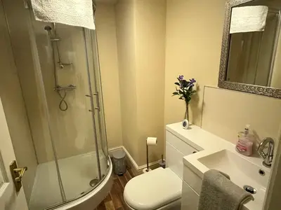 a bathroom with a shower and a toilet and a sink at Petteril House - Ground Floor in Carlisle
