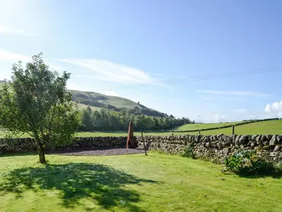 a tree in a field next to a stone wall at West Lanegate Farmhouse in Amisfield Town