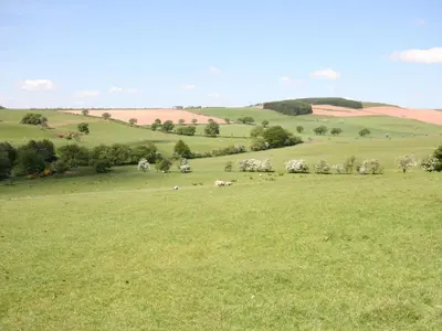 a green field with animals laying in the grass at Halliday Hill Cottage in Dalton