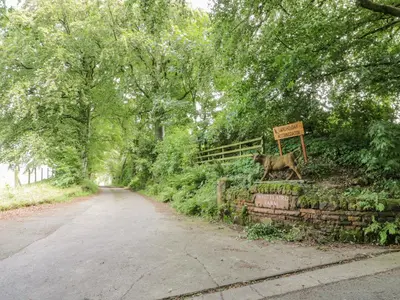 a dog standing on a wall next to a road at Laird Lodge 5 in Lockerbie