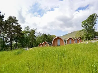 a row of domes in a field of tall grass at Lowside Farm Glamping in Troutbeck