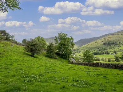 a green field with trees and a stone wall at Little How in Ambleside
