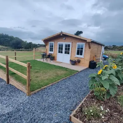 Bumble Bee Cabin