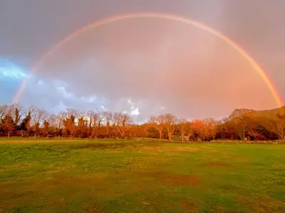 a double rainbow in a field with trees in the background at Bumblebee Cottage-Uk39918 in Ballakinnag